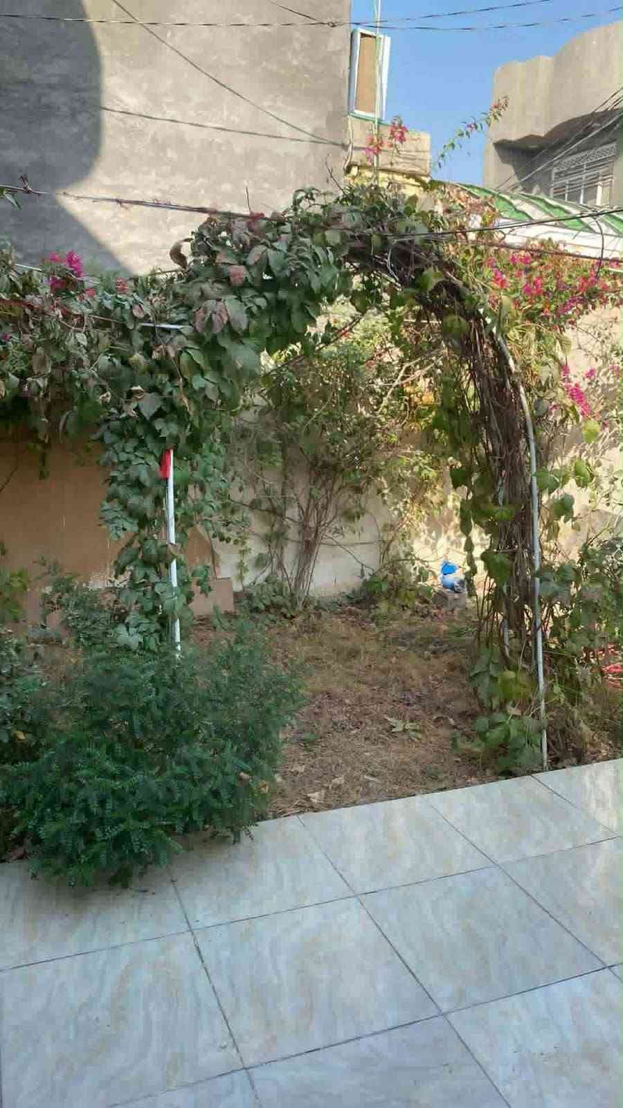 السلام عليكم . متوفر بيت للايجار  في ابو خستاوي شارع سيد علي  بي غرفتين نوم جوه وحده وفوك وحده البيت نظيف جدا .. مو بعيد عن الشارع العام
سعر الايجار ٢٧٥ 
للاستفسار ***********
***********
