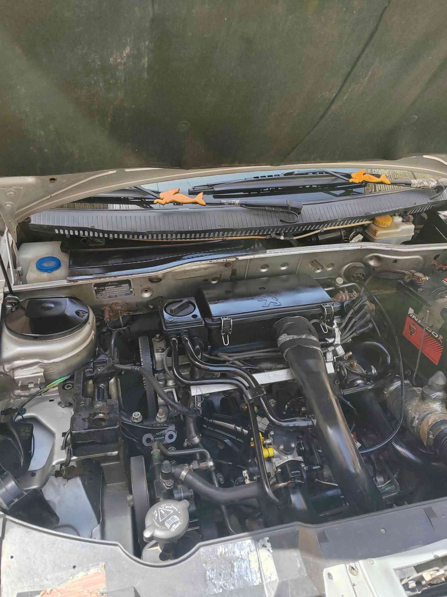 سمند • ٢٠١٠ • مدينه الصدر