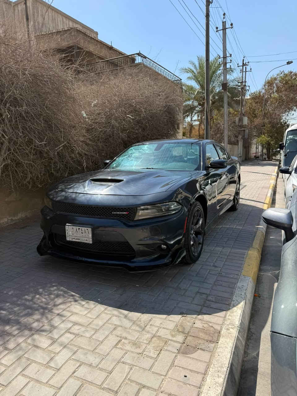 السلام عليكم دوج جارجر ٢٠١٩GT  بارد فقط بدون فتح وصبغ وتبديل حتى الدعاميه بلاديه ماشيه ٤٠ رقم بغداد بأسمي هزة جديدة بدون نقص سياره جديدة سعرها ٢١٠ مكانها بغداد 
***********
