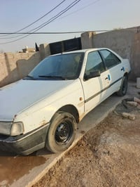 روا • ٢٠٠٩ • انكليزي