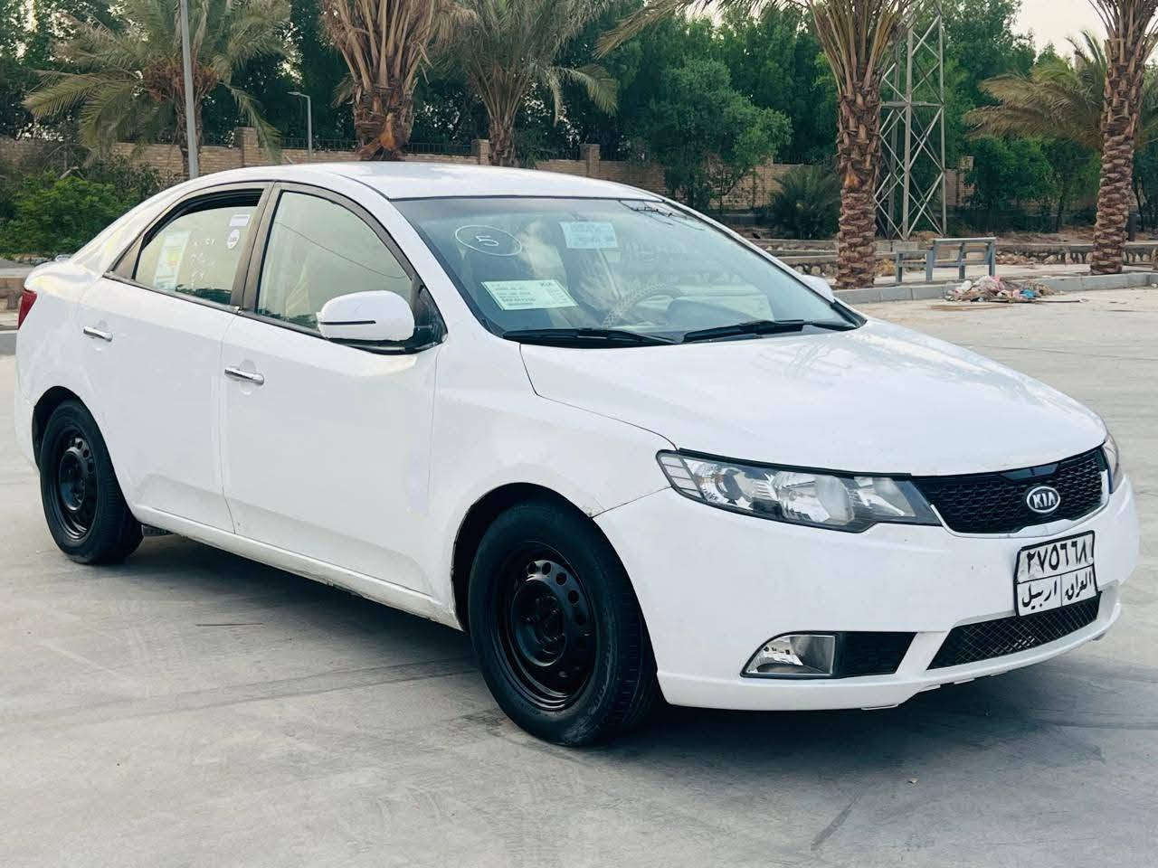 سيراتو • ٢٠١٣ • ديوانية