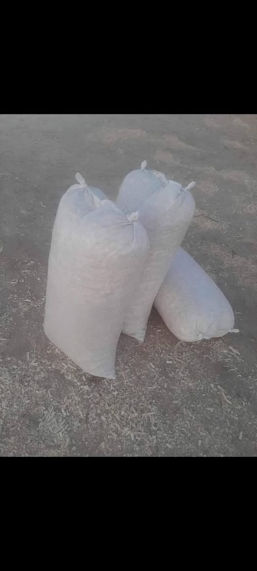 ::@:سلام عليكم يتوفر نشاره خشب البيع ترس فول مستعدون التجهيز كافه الحقول والمكاتب والمخازن توصيل الكل المحافظات من شمال الجنوب الاستفسار (***********)(***********) بي وتساب وسعار مناسبه
