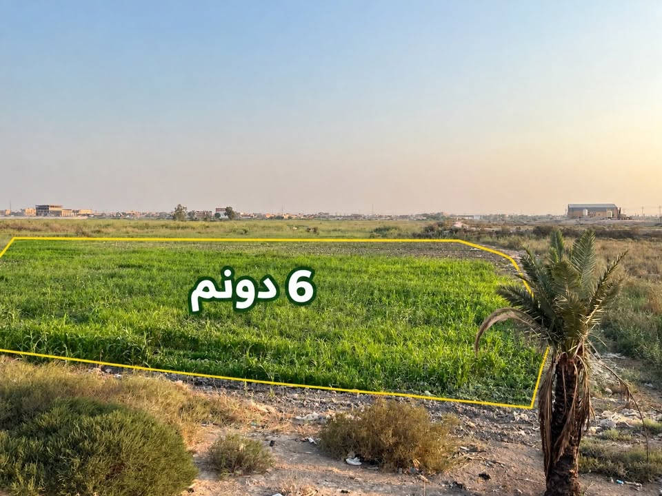 ٦ دونم • طابو زراعي • قضاء المدينة