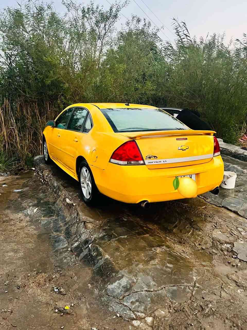 🍋نباله مديل 2012 فوال جاهزه البيع 82 وبيهه مجال ***********
