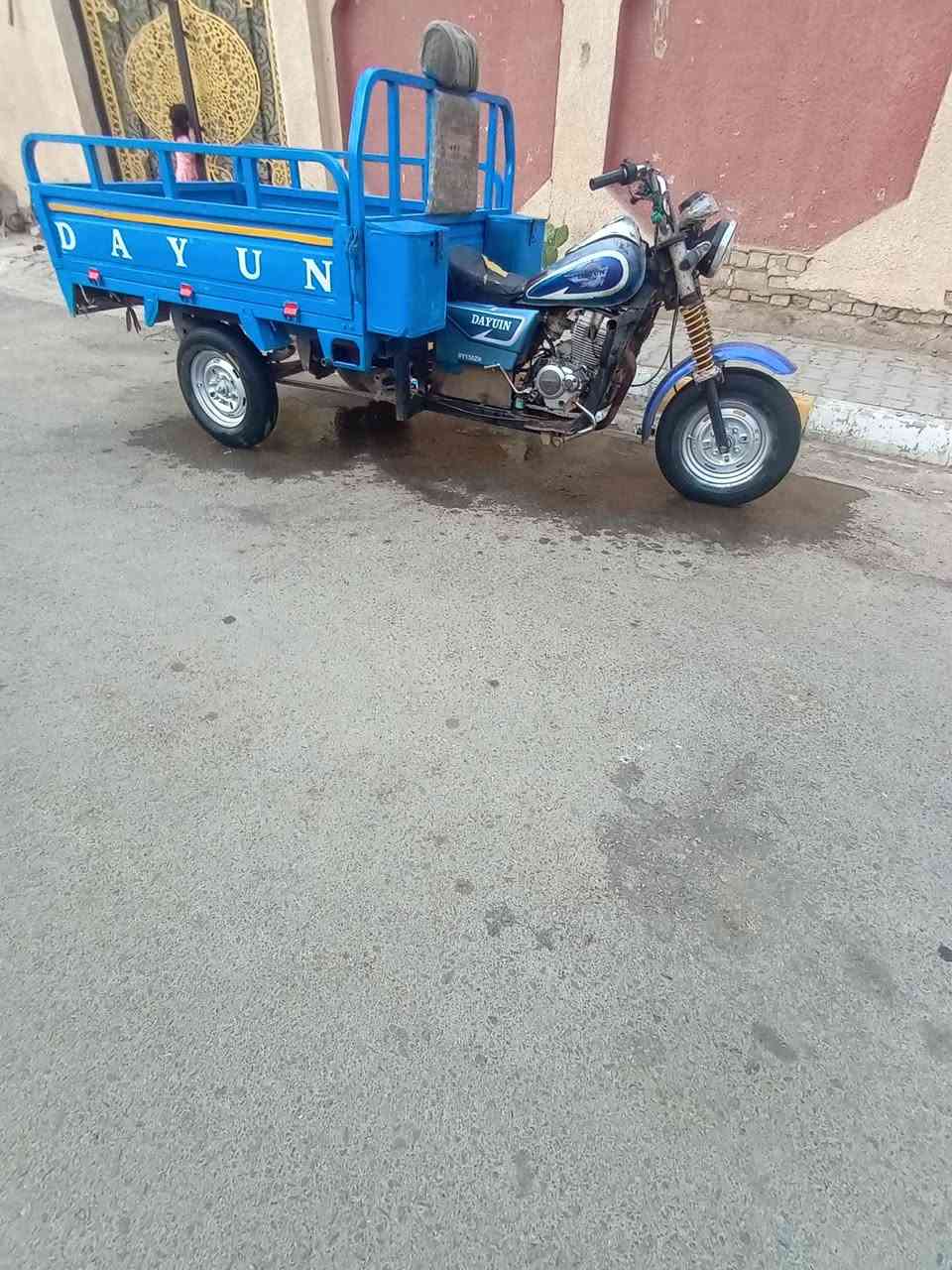 ستوته • ٢٠١٥ • شاصي مكفول
