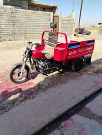 ستوته • حمل • للبيع