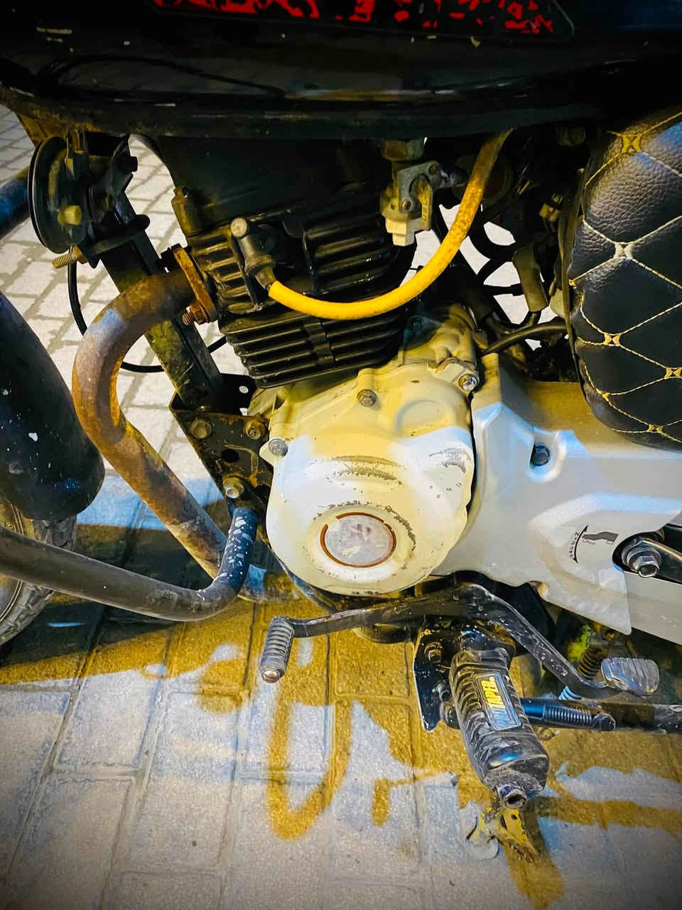 سلام عليكم دراجه بوكسر موديل22 بدون أوراق
أتكفل حلال وحرام دراجه كامله مكمله لا نضوح لا تبخير ولا 
تنقيص يرادله شخاطه مالي سلف فقط غير هاذ كلشي ما بيه
دراجه سعر 850 وبيه مجال حك جيه لبياع شراي اطلع كبل
هاذ لمنشور مو الك وعيب تكسرون بحلال ناس 
رقمي ***********
