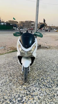 بي سي اکس • جيل اول • مكفولة