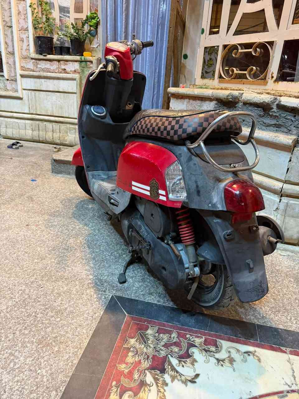 ماكس بليسي • احمر • مكفولة
