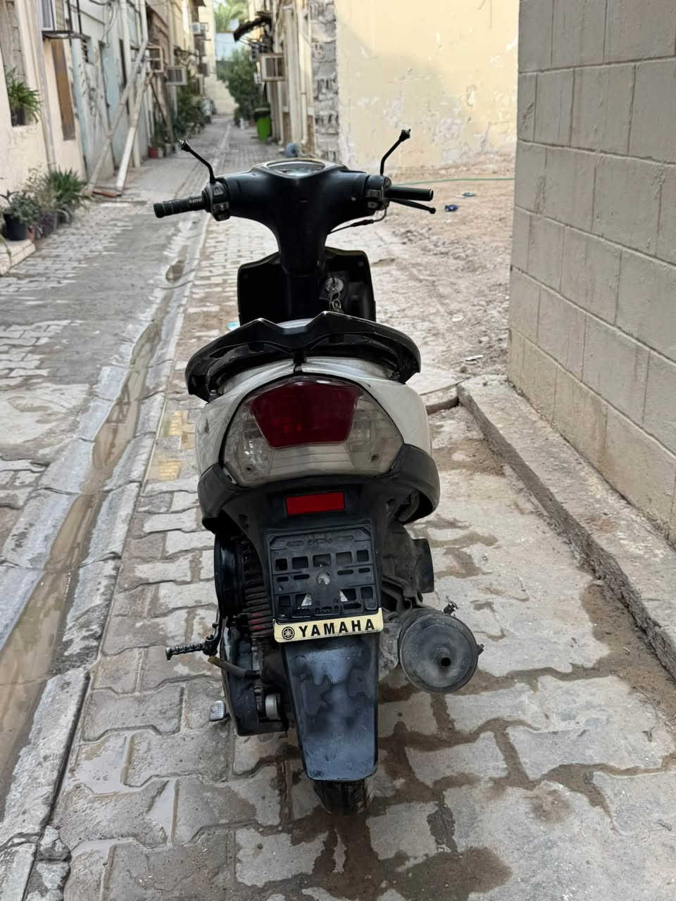 ماكس عدله • بغداد • الإسكان