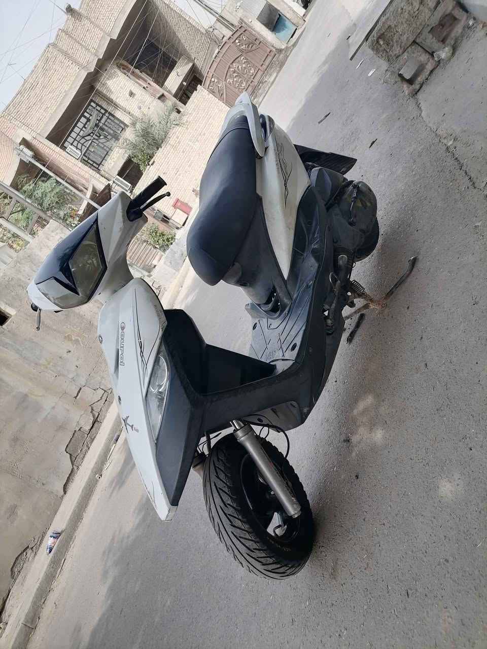 ثعلب • سلف • كفالة