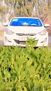 النترا • ٢٠١٥ • رقم اربيل