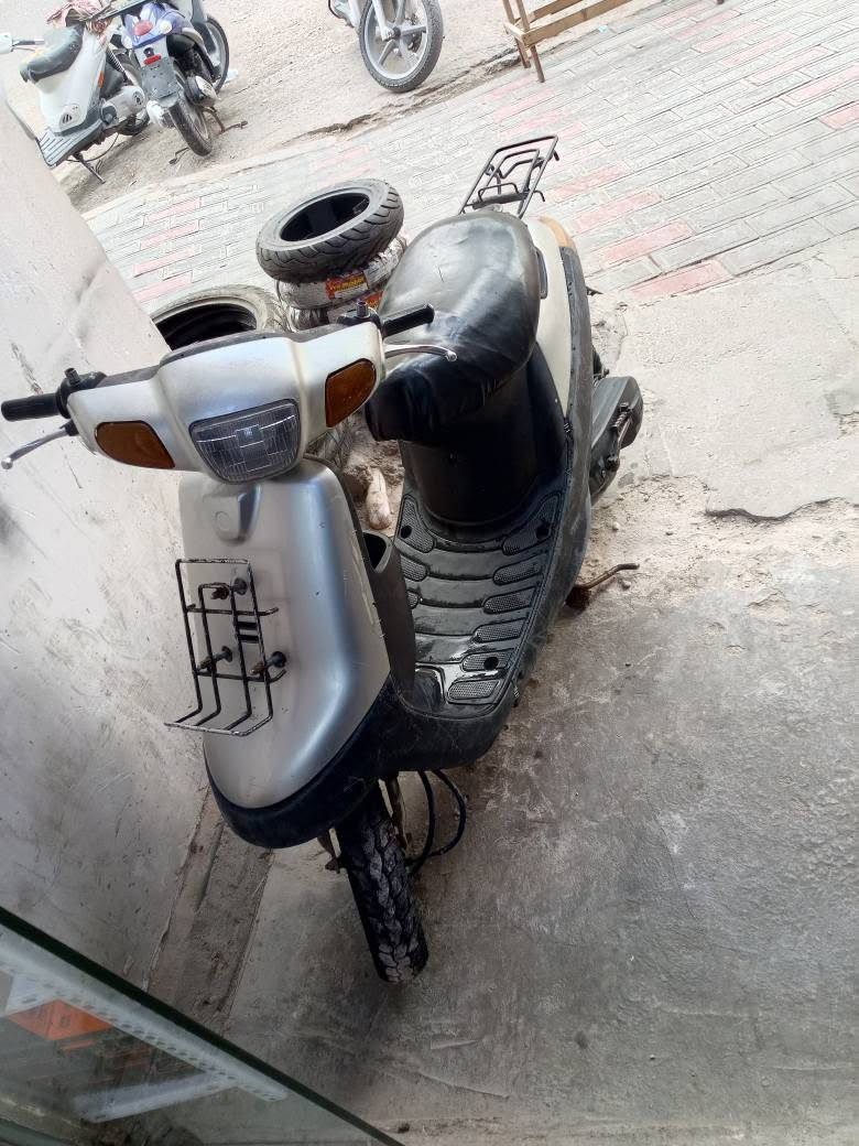 بطة • ناعمه • شغاله