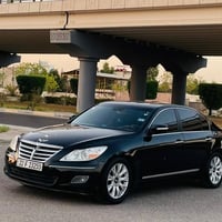 فول اوبشن • ٢٠١١ • رقم اربيل