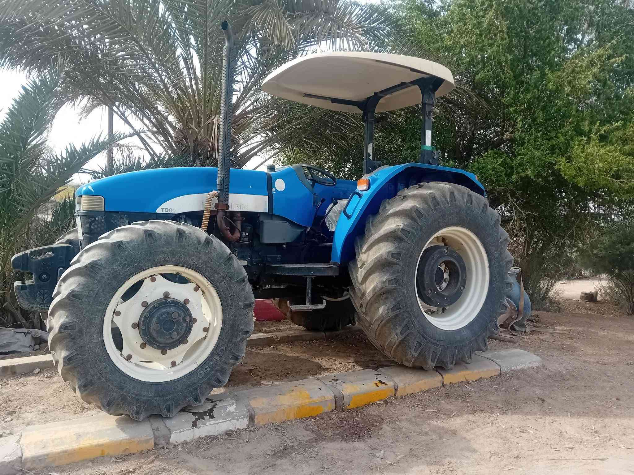 نيهولند • ٢٠١٥ • ديوانيه