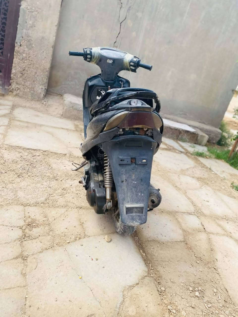 ماكس • ثعلب • ١٤٠
