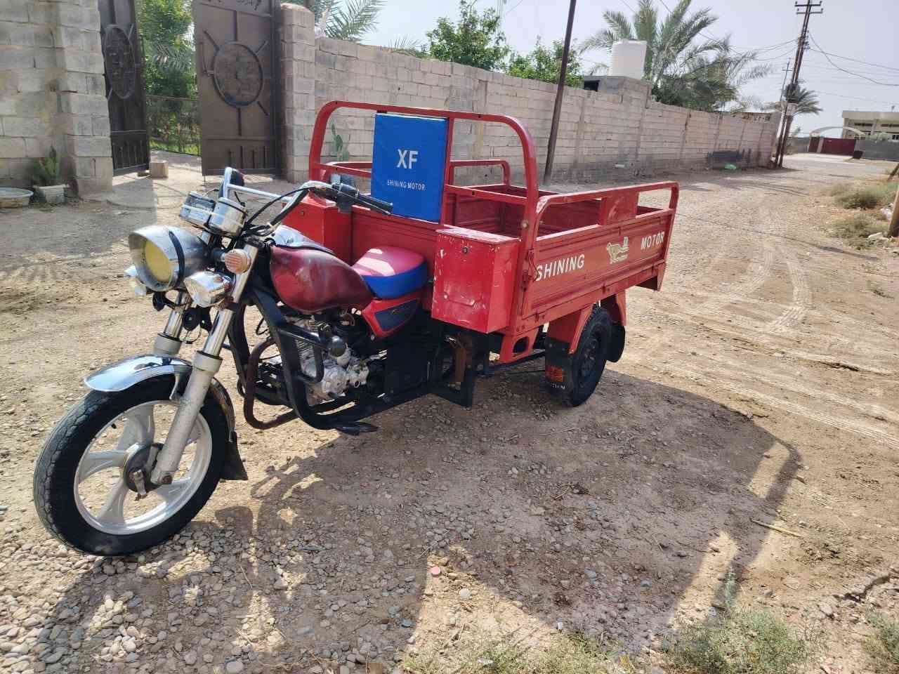 ستوتة • ٢٠١٩ • أوراق كاملة
