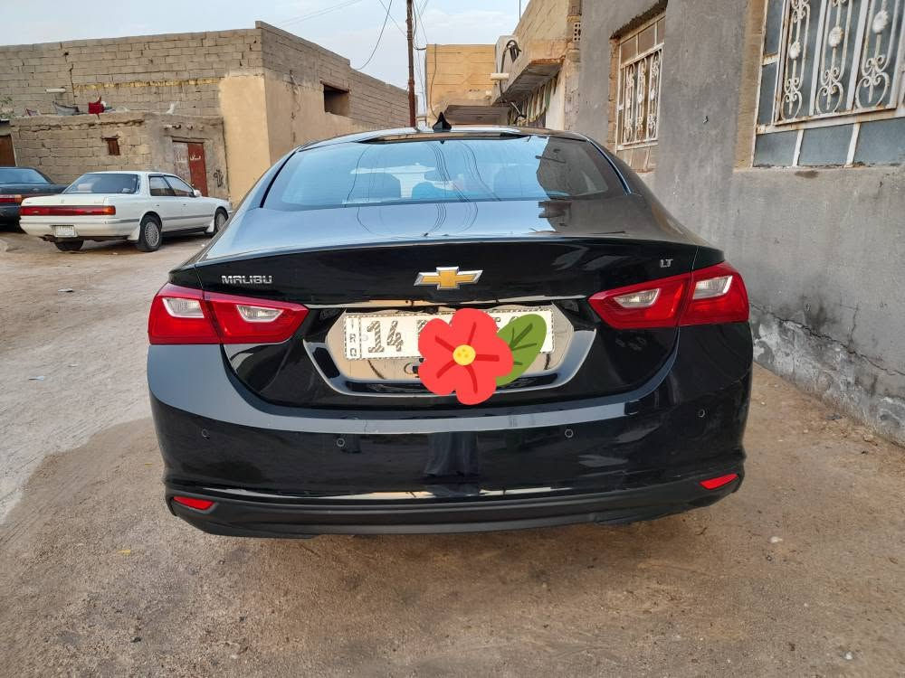 ماليبو • ٢٠٢٤ • رقم بصره