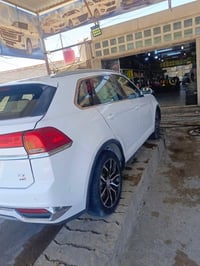 دومي • ٢٠١٩ • رقم بابل