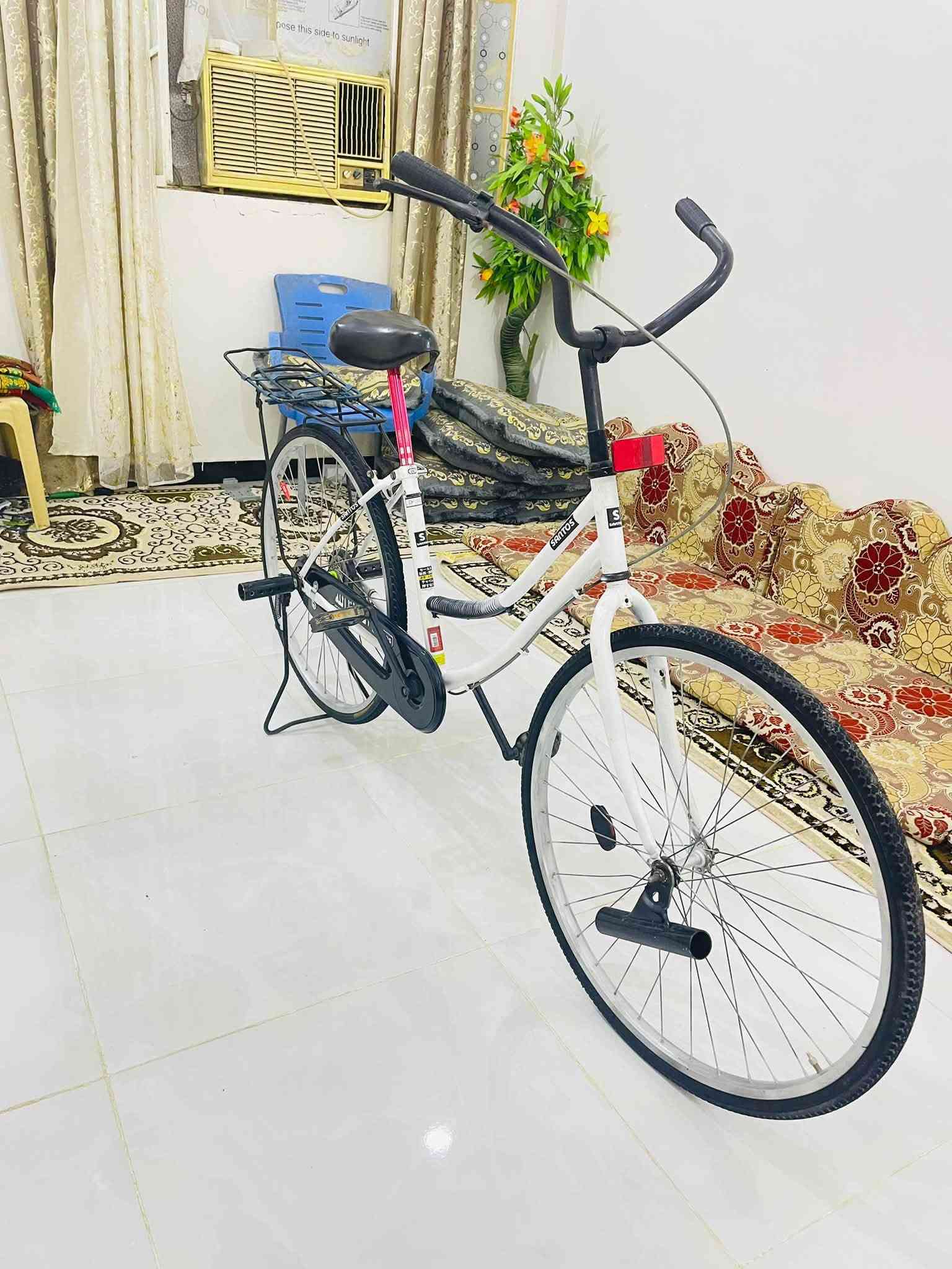باسكل • نضيف • موديل ١٥