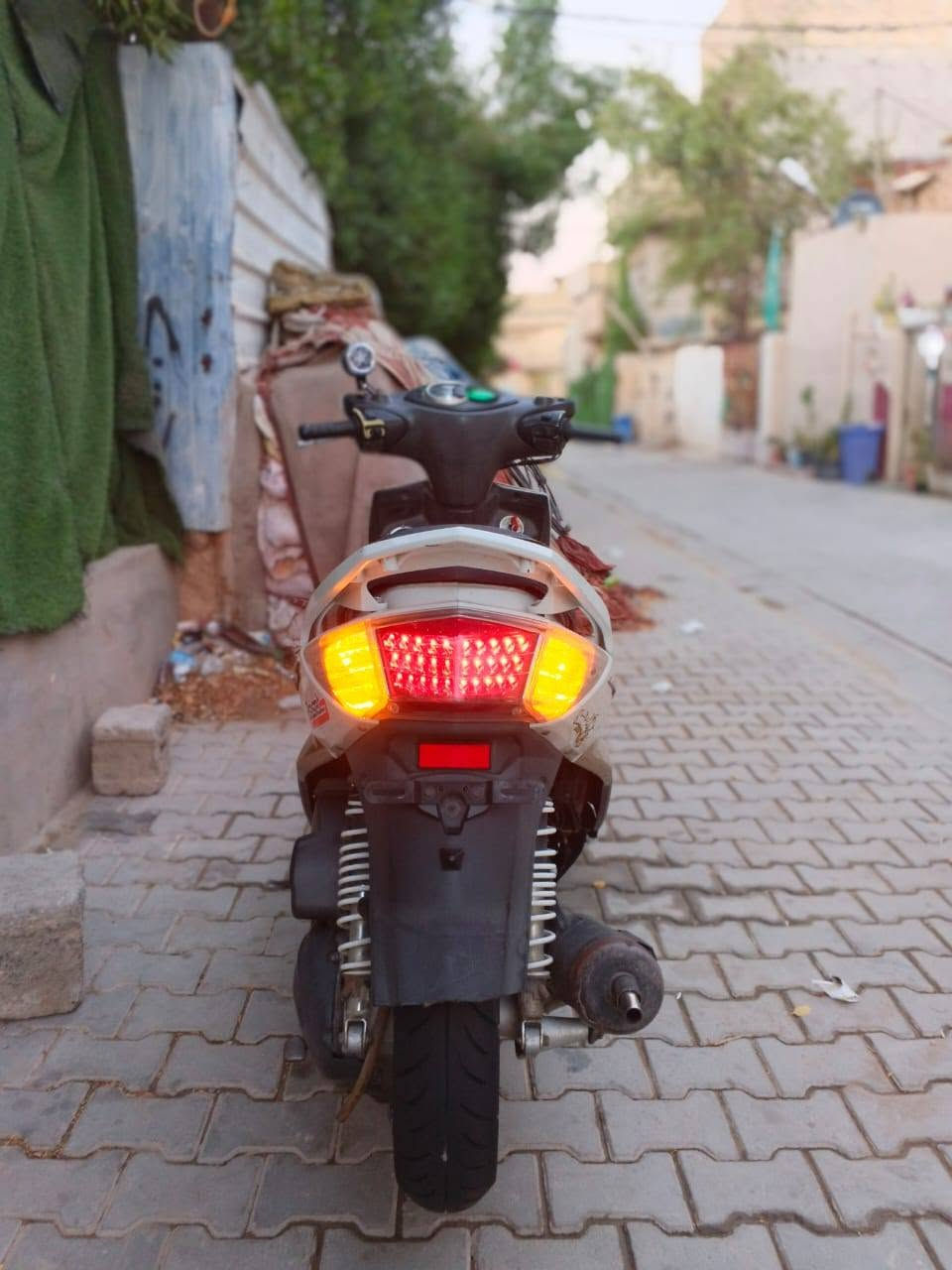 سكنس فحل • ابيض • مكينه رياضيه