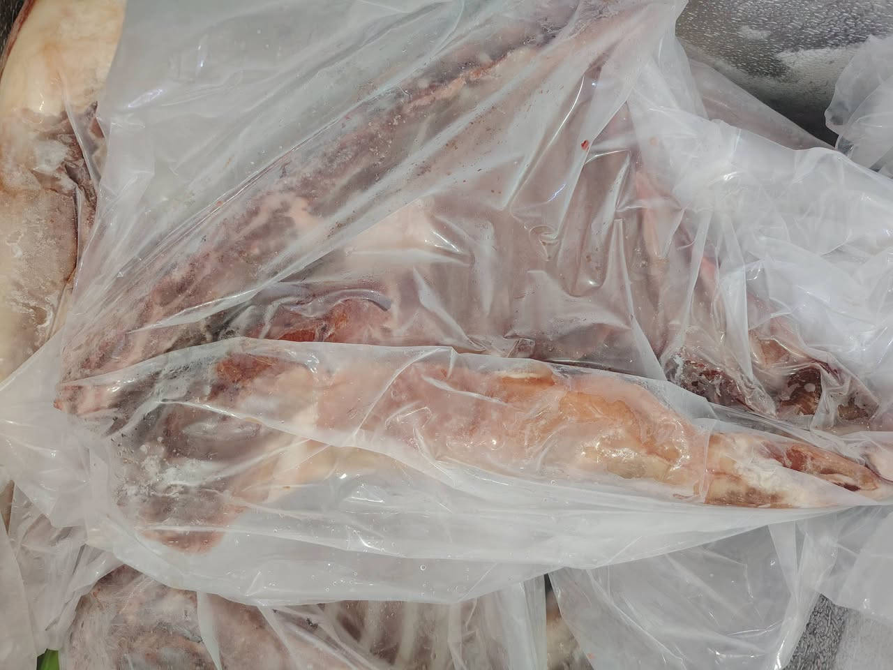 توفر لحم غنم طازج ولذيذ من ماركة الكفيل! 🍖
​احصل على أجود أنواع لحوم الغنم في مركز البيع المباشر.
​📲 للحجز والاستفسار:
​الاتصال أو واتساب: ***********
​📍 العنوان: بابل - المسيب - حي المعلمين

نص مكتوب في الصور:
- توفر لحم غنم كفيل في مركز البيع المباشر الكفيل لحم غنم عراقي فاخر للحجز و الاستفسار الاتصال او المراسلة على الواتساب *********** العنوان بابل المسيب حي المعلمين