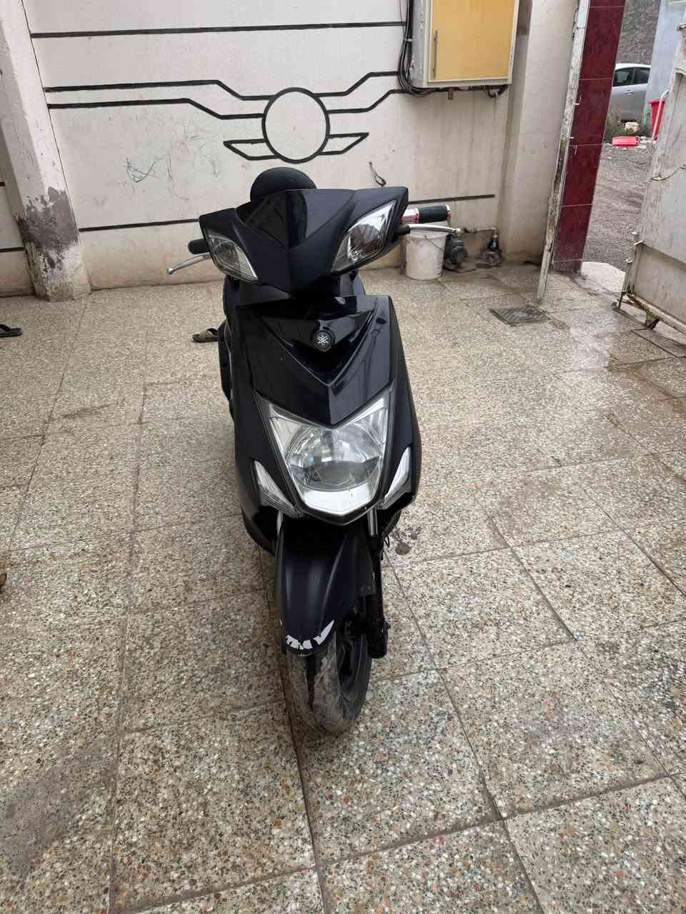 سكنس • نضيفه • كفاله عامه