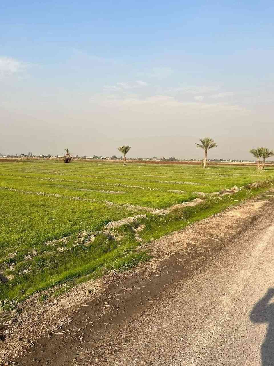 بسم الله 
ارض زراعيه للبيع المساحه 3 دوانم 
طابو زراعي سند 25  ثاني يوم افتحلك بيان 
واجهة الدونم الواحد 45 متر النزال 55 متر 
خدمات كامله  ماء اساله وسقي وكهرباء وتبليط 
مجاور سوق الشيخ عامر تبعد عن دوار 20 دقيقه 
السعر للدونم 30 مليون قابل للتفاوض بغداد التاجي منطقة الشيخ عامر مقابيل سبع البور 
للاتصال والاستفسار يتوفر واتساب
*********** متوفر واتساب
