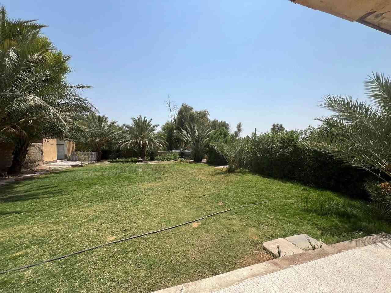 السلام عليكم بيت للبيع 6 دوانم +30نخله
مثل ماً موضح امامكم بصوره بيت  جاهز مطبخ 4*4

غرفه 7+4

غرفه7+4

غرفه8+4 

غرفه 6+4

صاله 10+4

مغاسل خارجيه +مخزن 4+4 +كراج مكينه وسياره 5+10

ستقباله10+4 خارجي حديقته مساحتها كلش جبيره بيها 12 نخله ؟؟المكان الكوت الاحرار قريه 10 

خدمات كامله مي اساله مدرسه تبليط مي سقي

#سعر 55

***********
