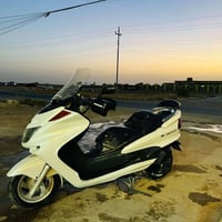 ماجسته • دبل • شغاله