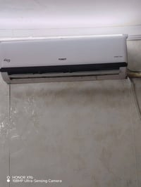 سبلت • ١ طن • موسم واحد