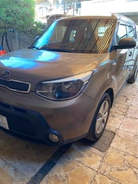 سول • ٢٠١٦ • بدون صبغ