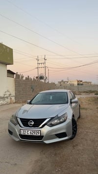 التيما • ٢٠١٨ • ديبيس