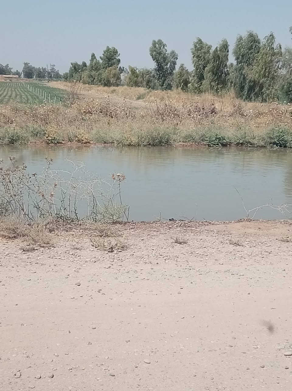 اربع قطع طبك للبيع مساحه القطعة الوحده 200متر
الحويجه البكاره قرية الربيع طبك مشروع المي... الجدول الشرقي
واصل ماء وكهرباء سعر القطعة 
6500000ست ملايين ونصف 
***********
