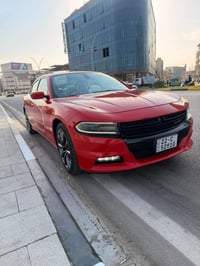 ٢٠١٨ • بدون صبغ • فول