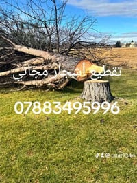 تقطيع أشجار • تقطيع نخيل • كرخ ورصافه