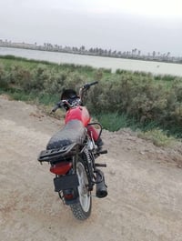 بوكسر • حمرا • اوراق اصولية