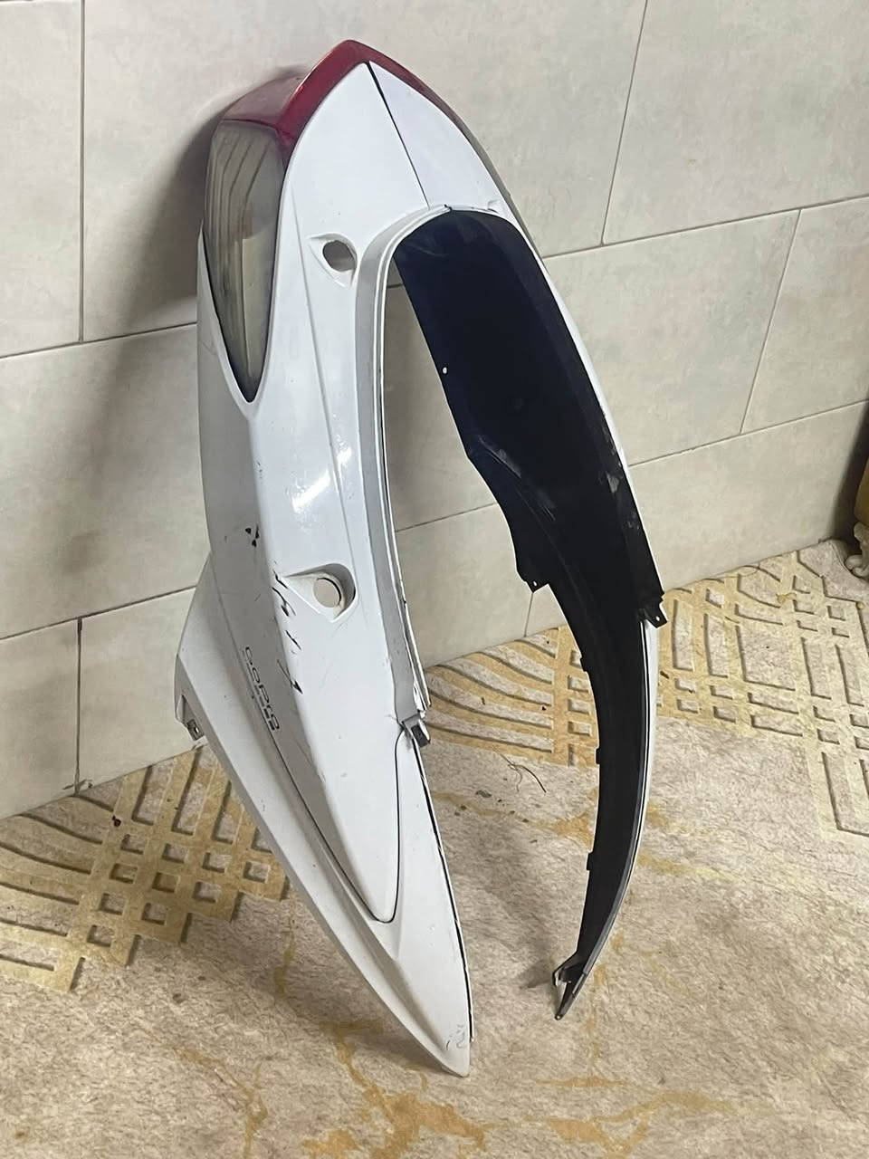 اصفاح سكنس فحل اصليات ب 50 العنوان المشتل ***********
