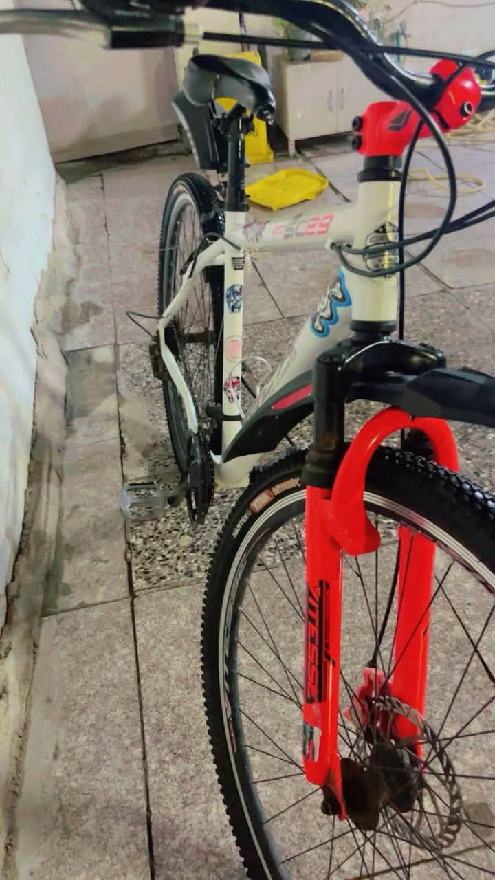 بايسكل جبلي • ٢٩ ونص • بريكات دسك