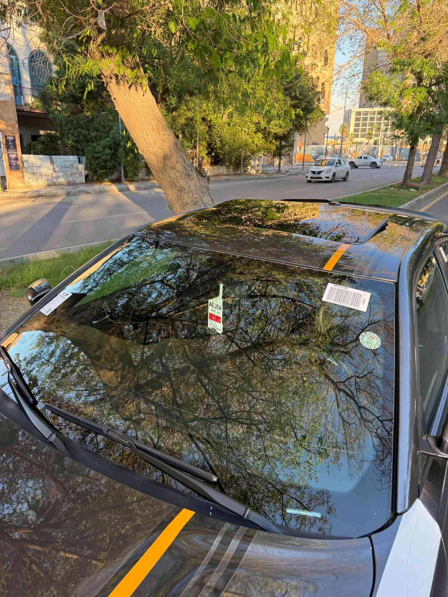 جارجر  GT PLUS موديل 2022 (خـليـجـي) اورنج
شركه هارلم سياره مغلفه بل كامل PPF حمايه 📍

 (اورنج ادشن )  فول فول مواصفات نادره 

سياره مكفوله من صبغ و تبديل وشخوط 

سيارة زيرووو ماشية 29 

رقم اربيل الجديد 22
ب اسمي تحويل او وكالة 

الموديل :2022  . (خليجي) . . 

المحرك : V6.  3.6L 

المواصفات :

* نسخة ORANGE EDITION. 

* خطوط طولية على الهيكل. 

* مكابح رياضية برمبو خاصة بالون البرتقالي. 

* جناح خلفي اسود. 

* ويل قياس 20 انچ اسود . 

* ستيرن رياضي . 

مقاعد رياضية من الشاموا مع خطوط بالون البرتقالي. 

* نقطة عمياء . 

* مصابيح أمامية زنون . 

* كشافات الضباب زنون . 

* المصابيح الأمامية مع LED . 

* حساسات . 

* شاشه كبيرة مع نظام ملاحة نفكيشن GPS .

* الشاشة مع اوپشنات SRT . 

* سستم صوت الپاين .

* فتحت سقف (سلايد) . 

* مقاعد أمامية كهربائية عدد 2 . 

* ذاكرة لحفظ وضعيات الجلوس (ميموري) . 

* مقاعد أمامية تبريد وتدفئة . 

* مقاعد خلفية تدفئة . 

* تشغيل عن بعد . 

* ستيرن كهربائي . 

* تدفئة ستيرن . 

* محدد سرعة . 

* تلفون بلوتوث . 

* كاميرا خلفية .

* مرايا متحسسة للاضاءة العالية .

* كير شفتر بالستيرن . 

* دخول ذكي (بصمة) 

*السعر مناسب اتواصل ويايه وتدلل🤍

للاتصال ع الرقم: ‭*********** 

مكاني / بغداد
