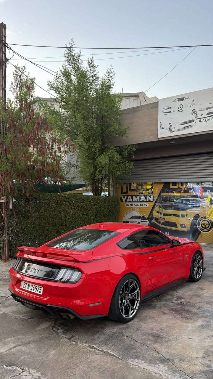 موستنك GT 2023 لبيع فقط بدون مراوسه
فول 1/1 اعلى مواصفات
كيج ديجتال 
شاشه جبير وكار بلي 
دواخل 7الوان 
كشن جلد وتبريد وتدفئه وخزن ميموري 
رادار امامي وخلفي وجوانب 
اكزوز اكتف
حادثها بس بنيد صبغ ورقم شاصي موجود بل منشوره
ماشيه 7 الف ميل فقط زيرو 
عليها كت كامل RTR 
وياله تخم جديد فويس شكل جديد 
بك لايتات ابيض 
سياره جديده ومصروف عليها اهوايه وجاهزه 
مرقمه كامل اربيل تحويل مباشر 
مكان سياره كركوك 
سعرها 225 ورقه ومجال بسيط
***********

