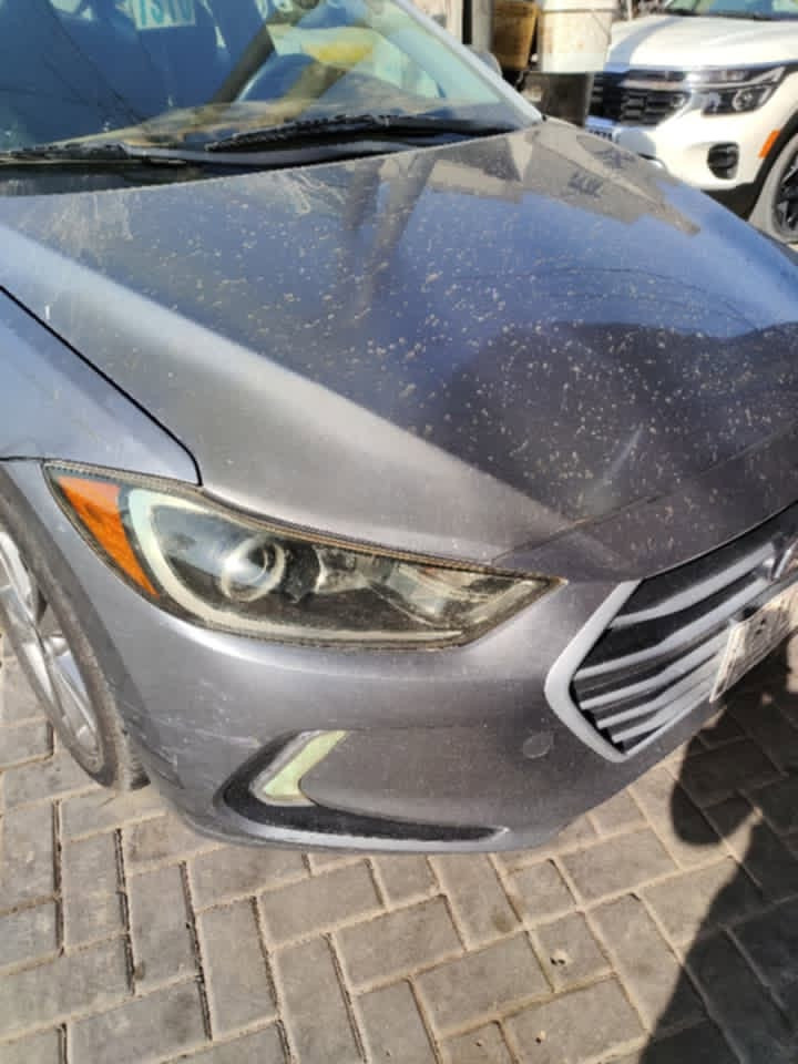 لا توجد تفاصيل
