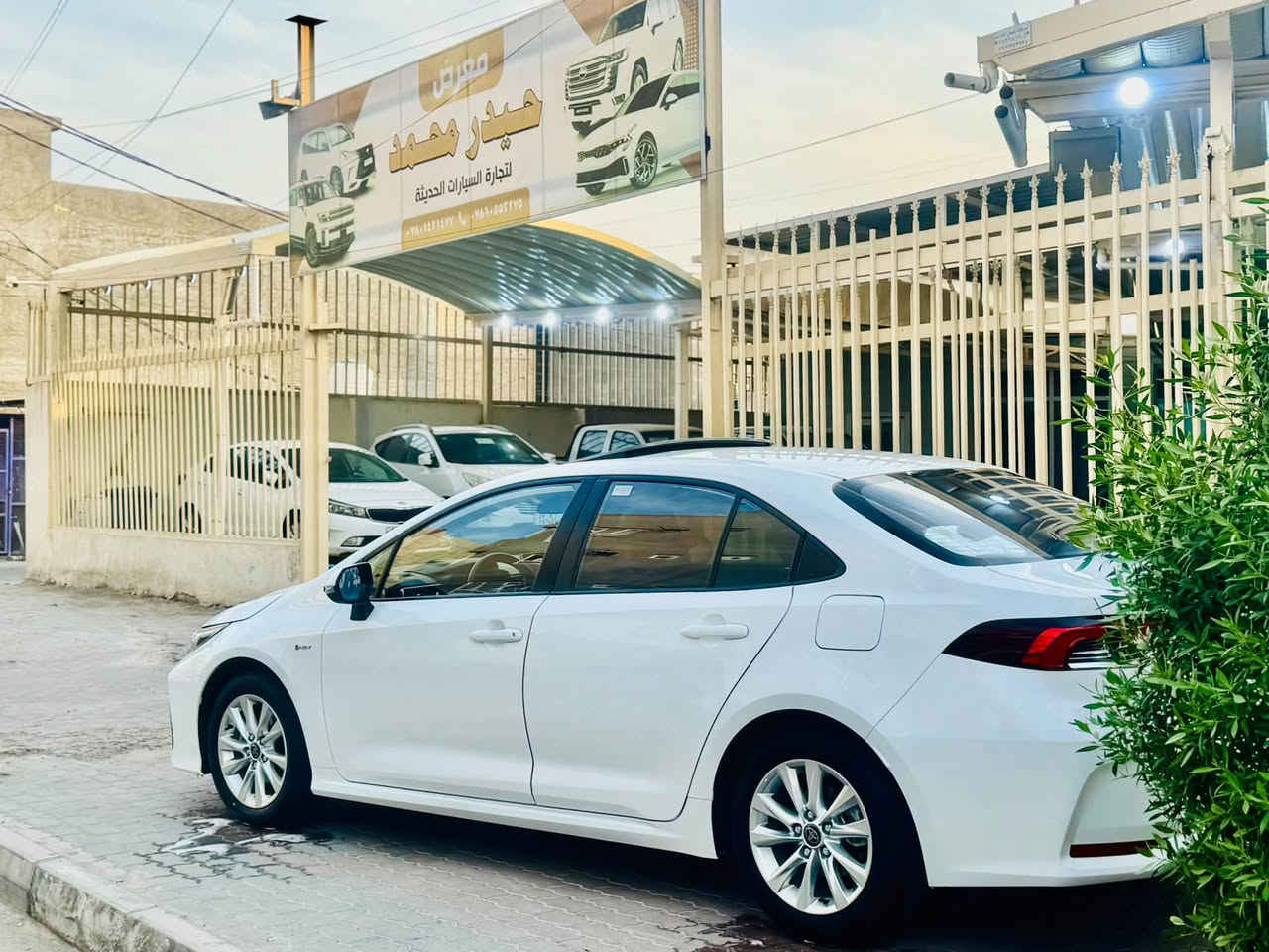 كورلا 25 خليجي فول كفالة عامة 
رقم بغداد
ماشية 16 
مكان سماوه 
تفاصيل
***********
