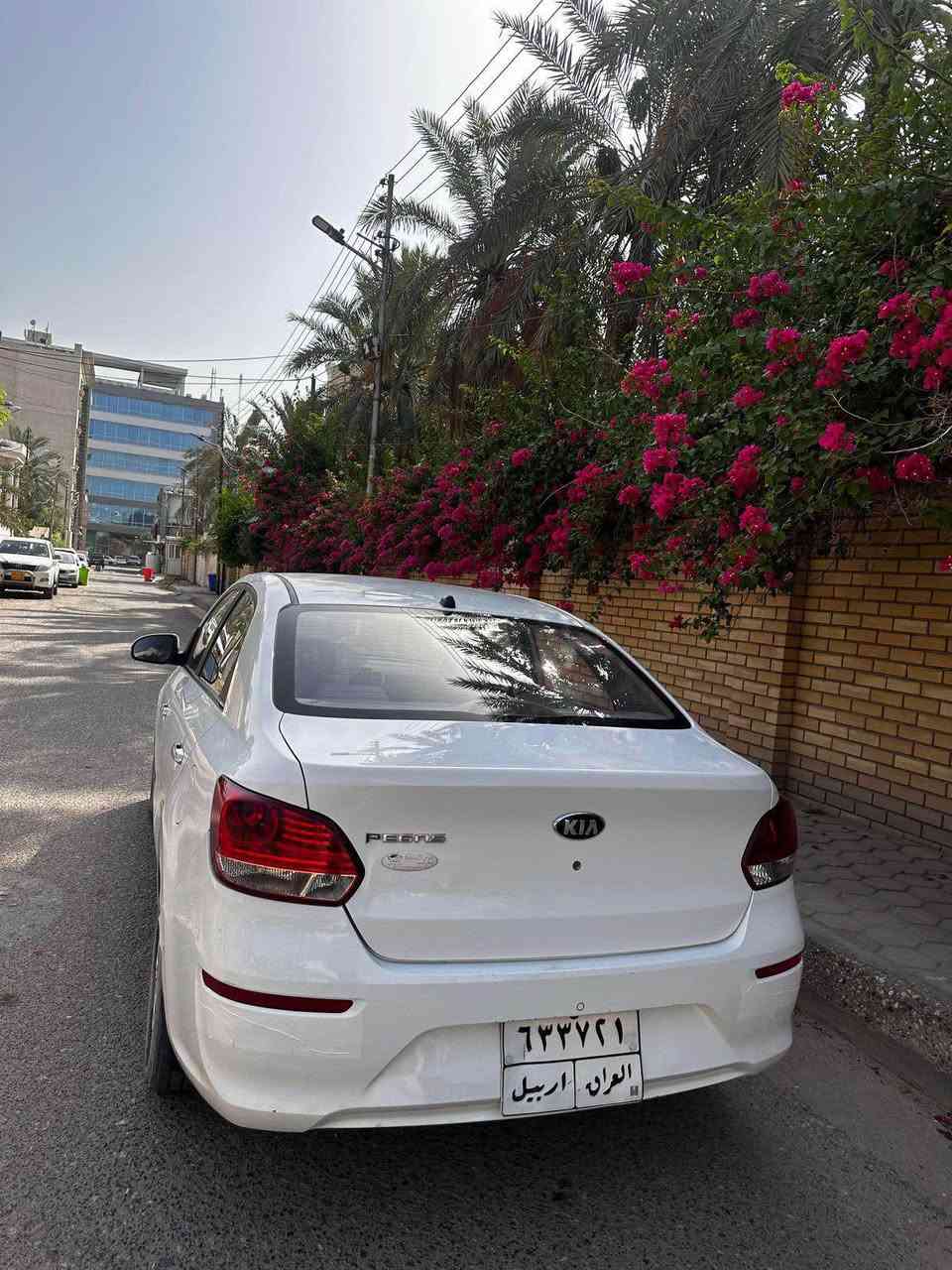 كيا بيكاز موديل 2021 كفاله عامه ما عدا هاي الطخه الواظحه  السعر 88 بيه مجال قليل مكاني البصره ابو الخصيب *********** سياره جاهزه مكينه كير تبريد كل نقص ماكو البصرة, العراق

