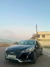 سوناته • ٢٠١٩ • رقم اربيل