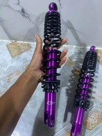 دبلات • سكنس جبلي • دراج ٥٠