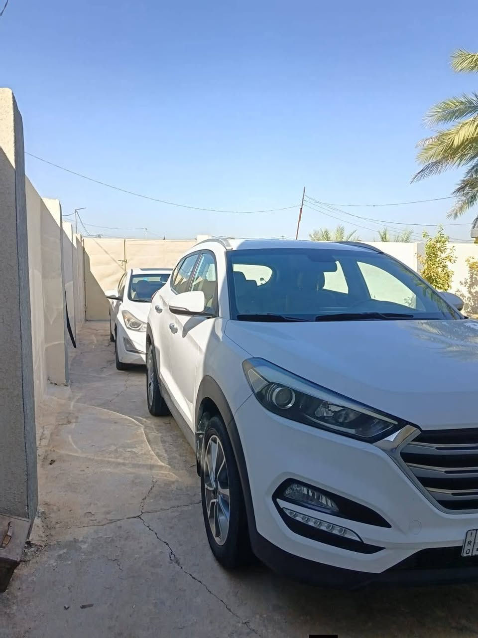 السلام عليكم
توسان موديل 2018

خليجي رقم بابل انكليزي 

السياره مكفوله فقط كارت صغير 

مري شفط 

تحكم جهتين 

شاشه صغيره وكامره 

كير ومحرك وتبريد مكفولات 

تخم تاير 

لد نهاري 

لد ليلي 

مكاني بابل 

السعر 170 

سونار بيه تحب تاخذ سونار 

اني حاظر 
***********
