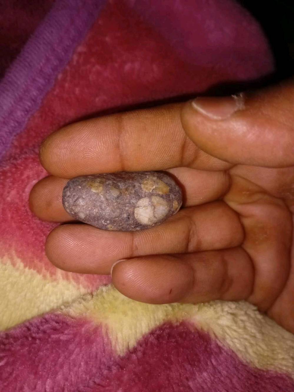 بصره زبير