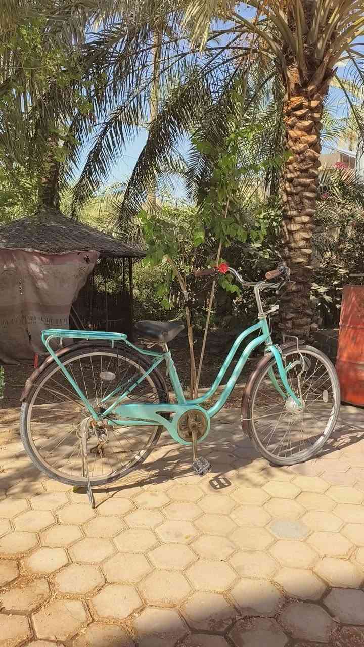 بايسكل للبيع نظيف وحالته زينة جدًا، استخدام قليل وما مستخدمه هواي.
🔹 ستخدام  سنتين ونص تقريبًا
🔹 الاستخدام: قليل
🔹 تكدر تخليله  سلة كدام + رف 
🔹 كلشي واضح بالصور
🔹 مشتريها بـ 150 ألف
💰 السعر حاليًا: 100 ألف وبي مجال
***********
