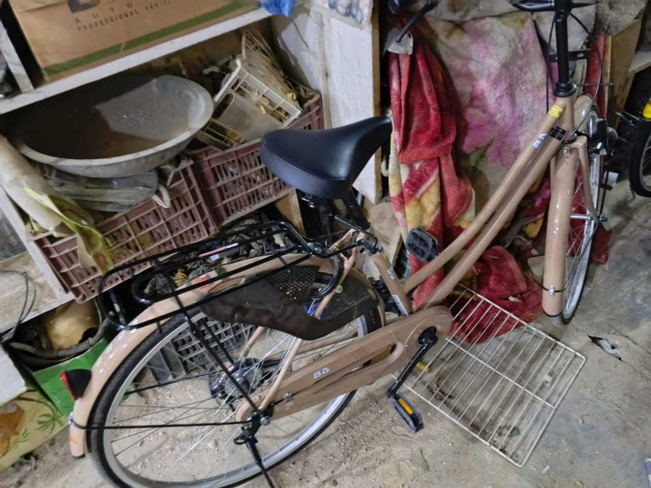 بيسكلة • بيدي • موديل ١٩
